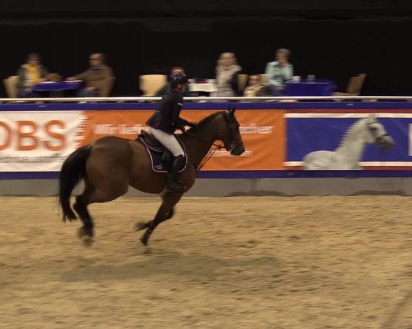 FEI Reitturnier Neumünster (GER) 2021