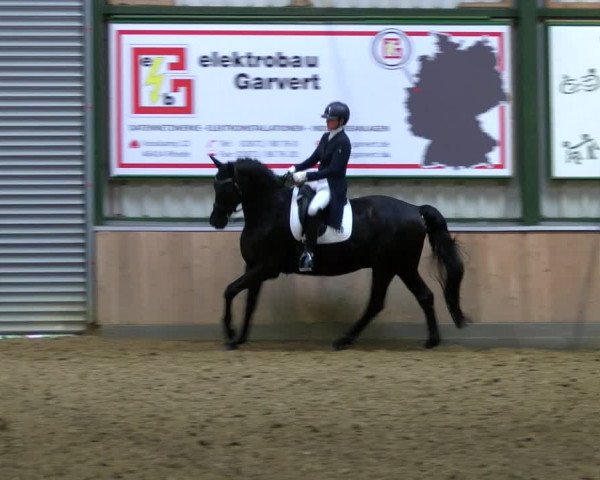 Reitturnier Rhede 2023