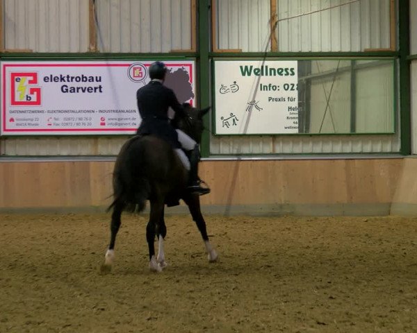 Reitturnier Rhede 2023