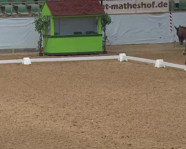 Reitturnier Kreuth 2023