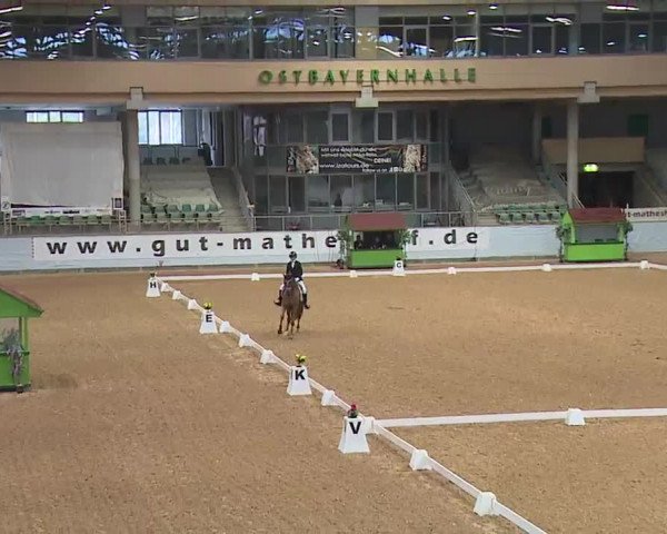 Reitturnier Kreuth 2023