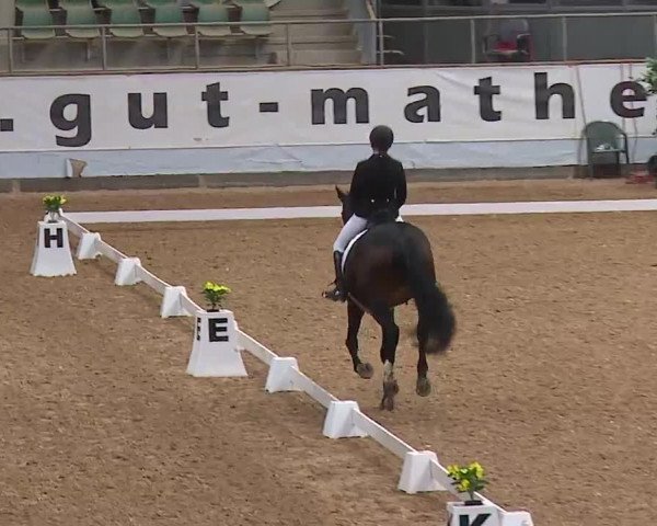 Reitturnier Kreuth 2023