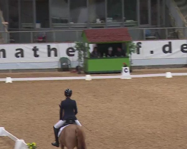 Reitturnier Kreuth 2023