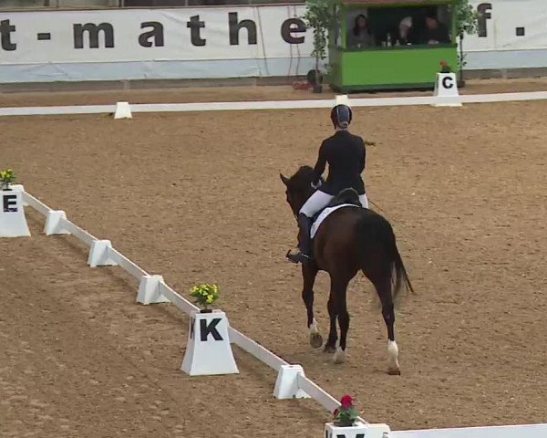 Reitturnier Kreuth 2023