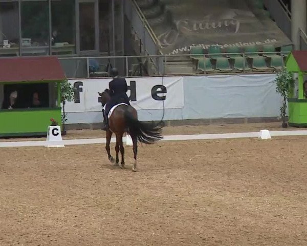 Reitturnier Kreuth 2023