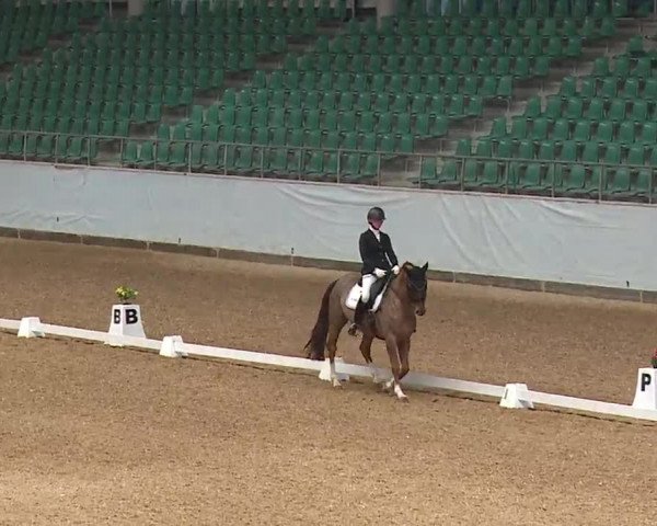 Reitturnier Kreuth 2023
