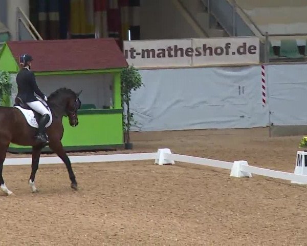 Reitturnier Kreuth 2023