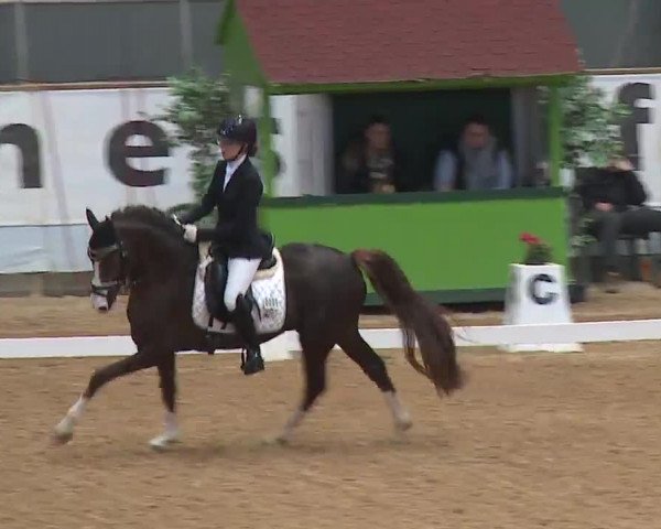 Reitturnier Kreuth 2023