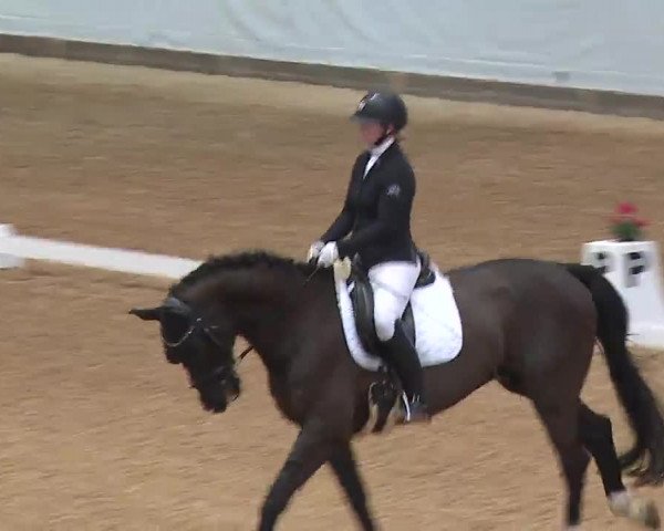 Reitturnier Kreuth 2023
