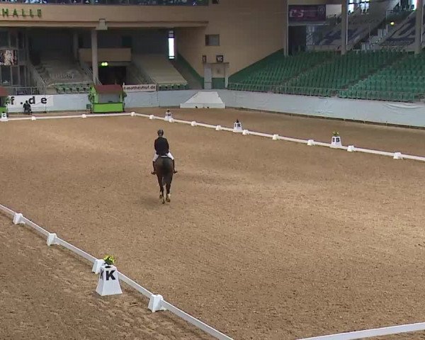 Reitturnier Kreuth 2023
