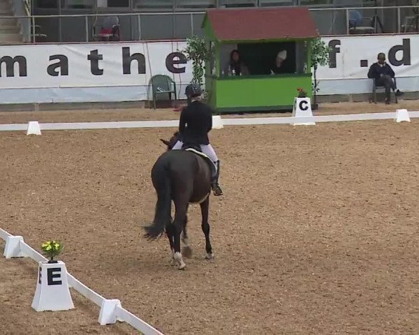 Reitturnier Kreuth 2023
