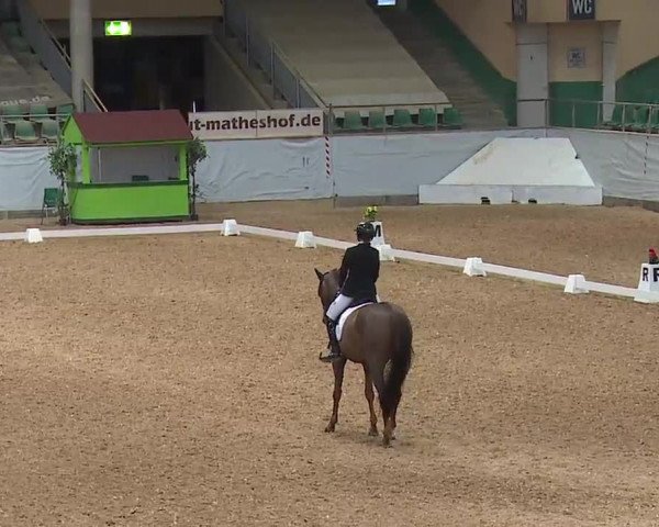 Reitturnier Kreuth 2023