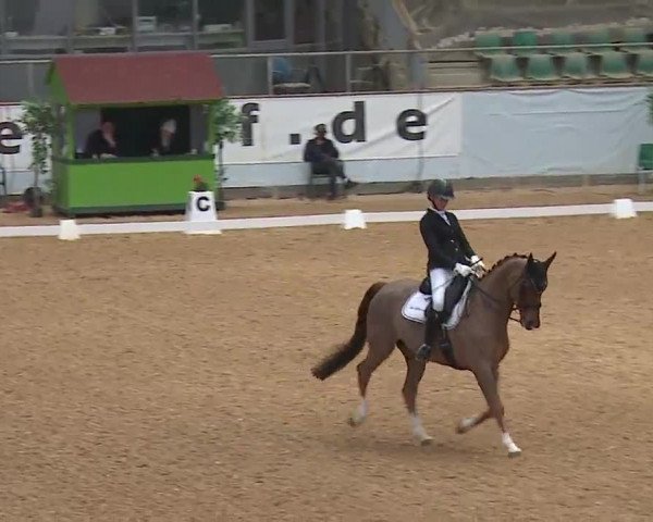 Reitturnier Kreuth 2023