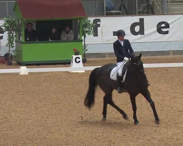 Reitturnier Kreuth 2023