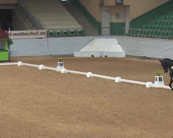 Reitturnier Kreuth 2023