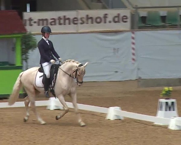 Reitturnier Kreuth 2023