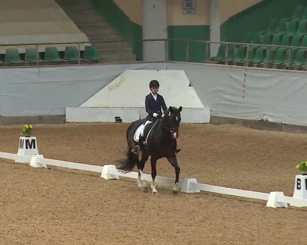 Reitturnier Kreuth 2023
