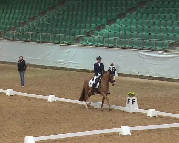 Reitturnier Kreuth 2023