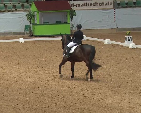Reitturnier Kreuth 2023