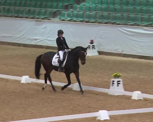 Reitturnier Kreuth 2023