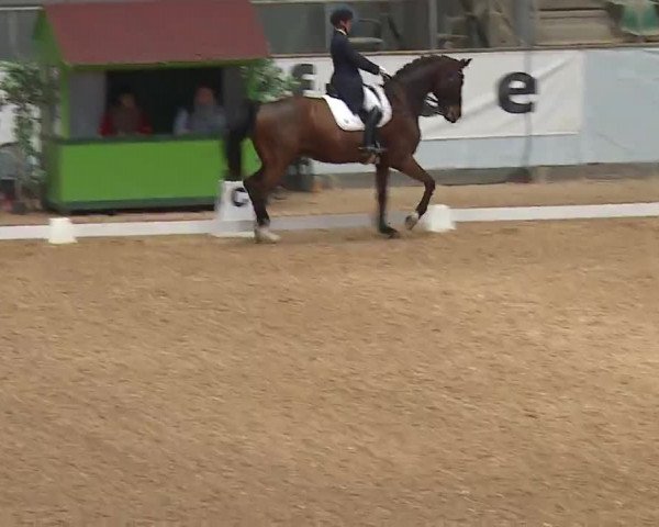 Reitturnier Kreuth 2023