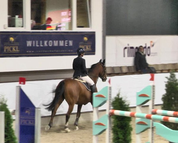 Reitturnier Karlsfeld/Obb. 2021
