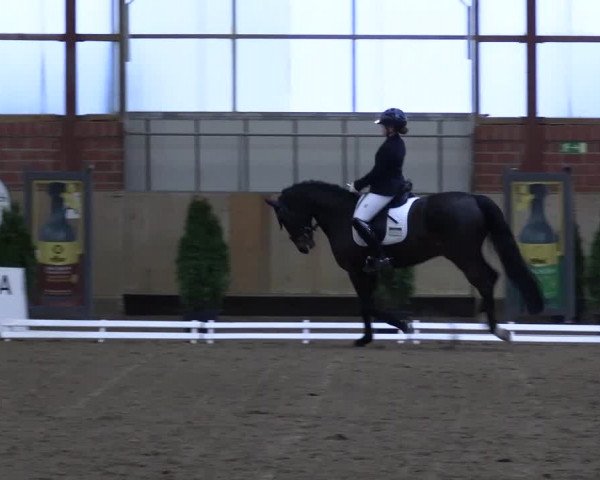 Reitturnier Ostenfelde-Vornholz 2023