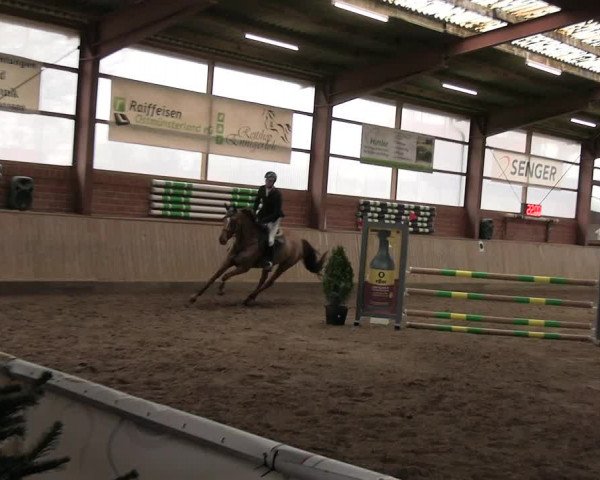 Reitturnier Ostenfelde-Vornholz 2023