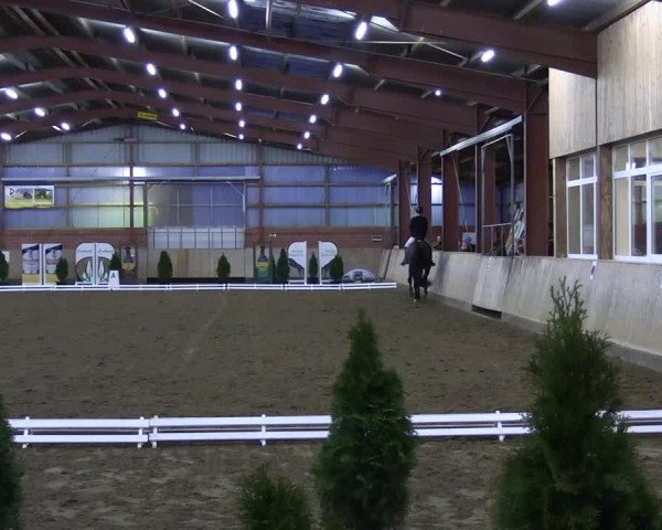 Reitturnier Ostenfelde-Vornholz 2023