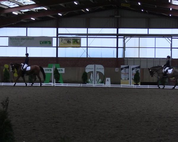 Reitturnier Ostenfelde-Vornholz 2023