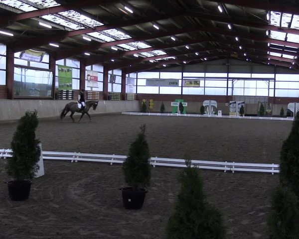 Reitturnier Ostenfelde-Vornholz 2023