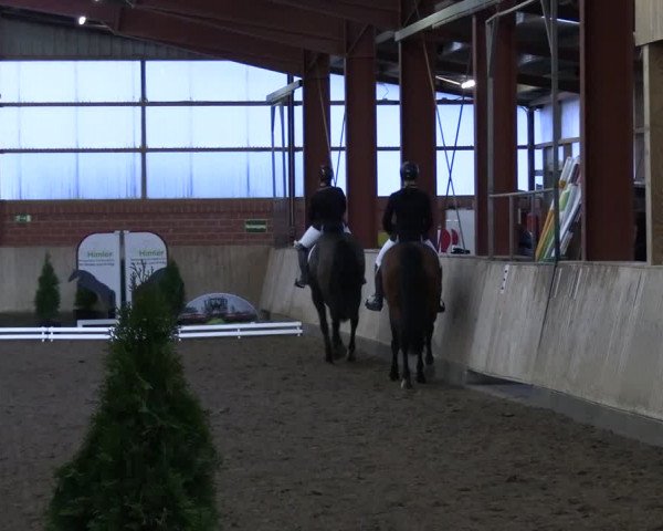 Reitturnier Ostenfelde-Vornholz 2023