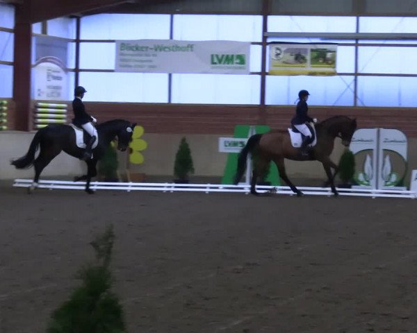 Reitturnier Ostenfelde-Vornholz 2023