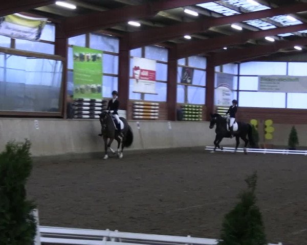 Reitturnier Ostenfelde-Vornholz 2023