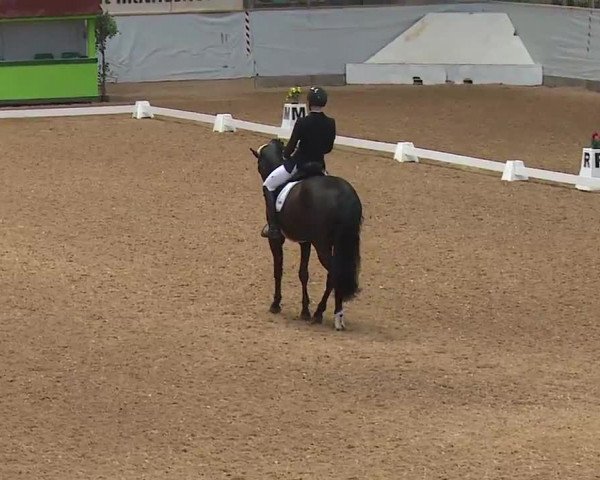 Reitturnier Kreuth 2023