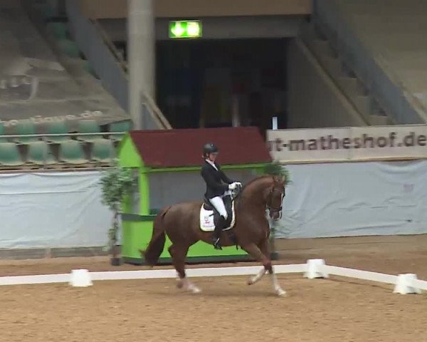 Reitturnier Kreuth 2023