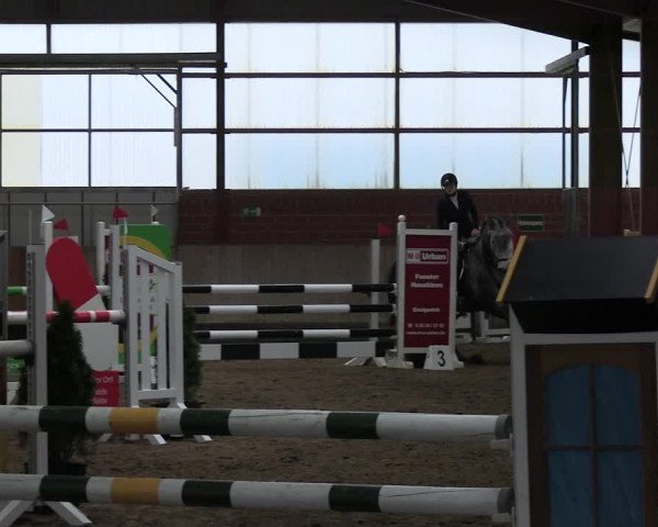 Reitturnier Ostenfelde-Vornholz 2023