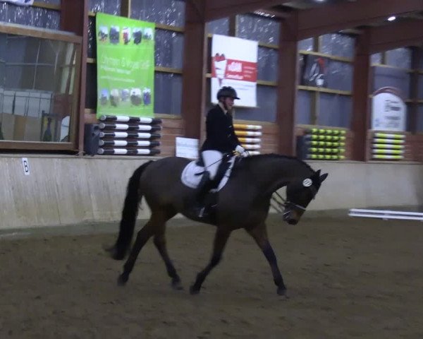 Reitturnier Ostenfelde-Vornholz 2023