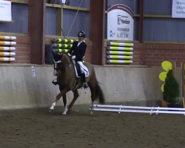 Reitturnier Ostenfelde-Vornholz 2023