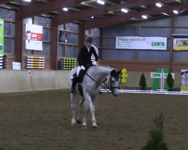 Reitturnier Ostenfelde-Vornholz 2023