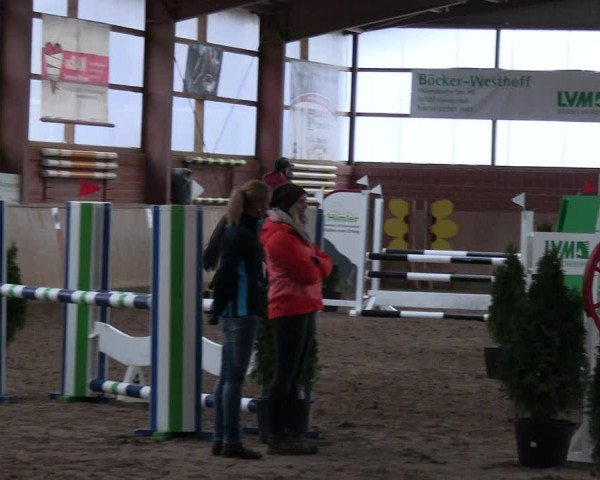 Reitturnier Ostenfelde-Vornholz 2023