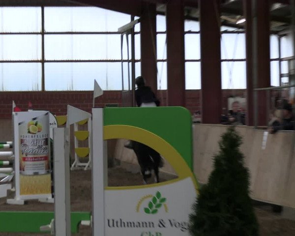 Reitturnier Ostenfelde-Vornholz 2023