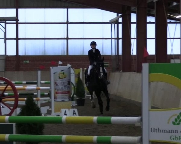 Reitturnier Ostenfelde-Vornholz 2023