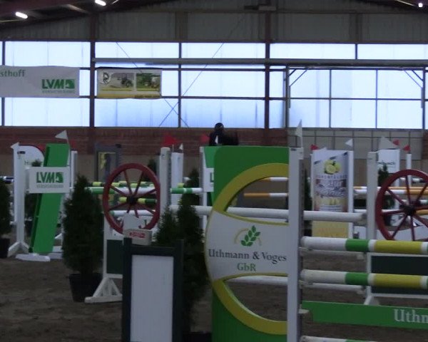 Reitturnier Ostenfelde-Vornholz 2023