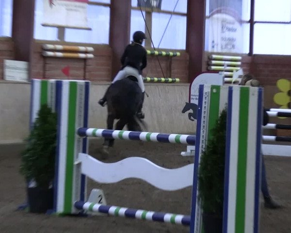 Reitturnier Ostenfelde-Vornholz 2023