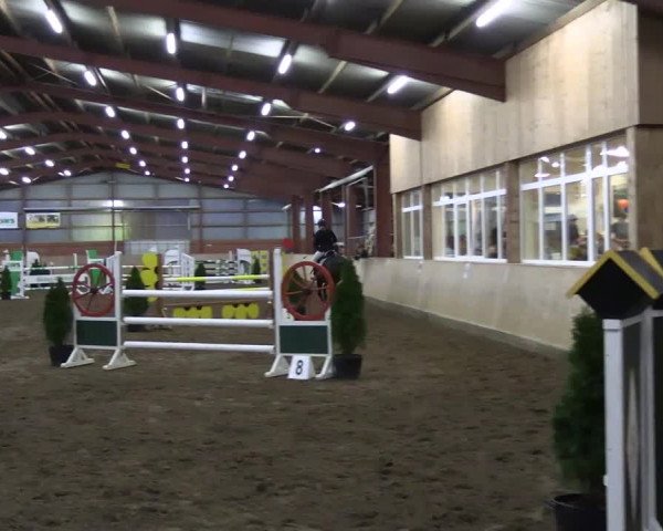 Reitturnier Ostenfelde-Vornholz 2023