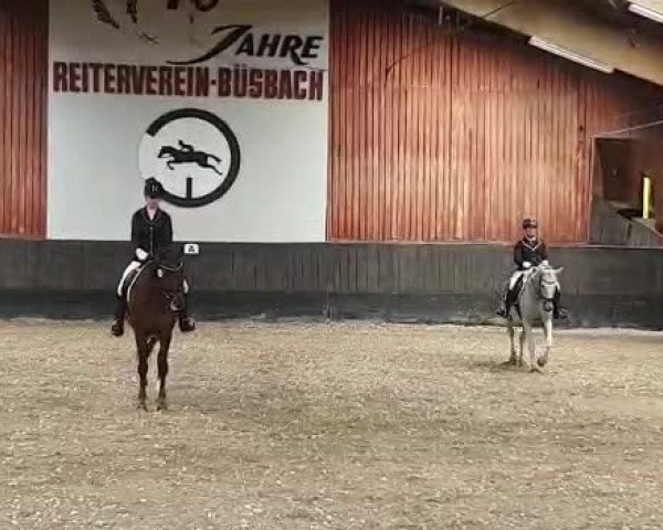 Video von Bailamos Baileys