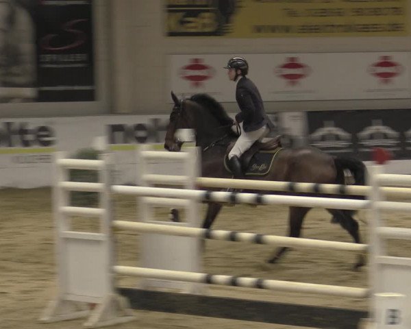 Reitturnier Borken 2023