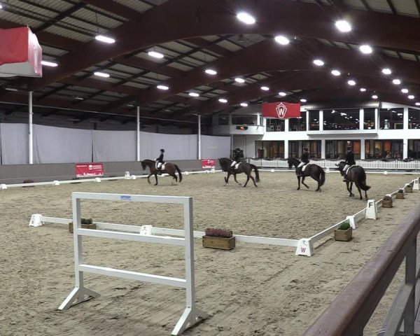 Reitturnier Münster-Handorf 2023