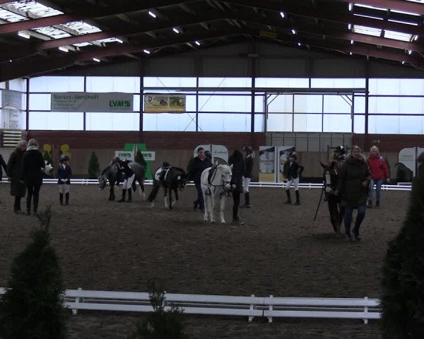 Reitturnier Ostenfelde-Vornholz 2023